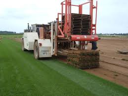 Salisbury landscaping | salisbury landscaping is an award winning design and build landscape firm servicing the greater edmonton area. Turf Suppliers In Salisbury