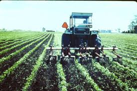 Image result for Tractor Flint Gray 1972 Fleet