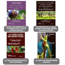 Epingle Sur Ala Taille Des Arbres Fruitiers