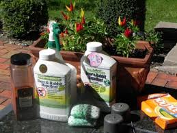 Use a funnel to add 8 ounces of white. Best Homemade And Commercial Deer Deterrents For Your Garden Dengarden