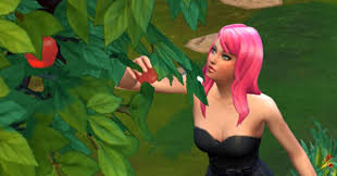 Check spelling or type a new query. The Sims 4 Gardening Collection Guide Sims Online