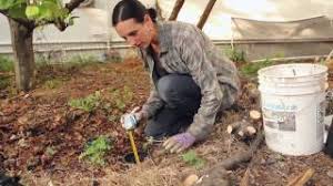 kitchen sink greywater system