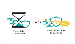 Term Life Insurance vs Whole Life