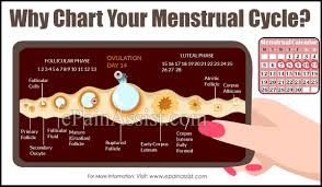 Why Chart Your Menstrual Cycle