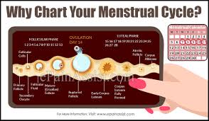 why chart your menstrual cycle