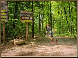 Coursenature2017 0031b9 Country Roads Image Creative Commons