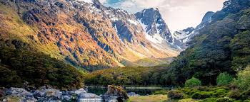 To apply for citizenship, you must have been a resident for at least 5 years, and only travelled out of new zealand for a short amount of time each year. North Immigration New Zealand Citizenship Benefits