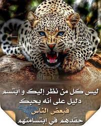 الحقد صور للفيس بوك Animals Wild Cats Big Cats