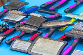 We did not find results for: Carding Brush Photos Free Royalty Free Stock Photos From Dreamstime