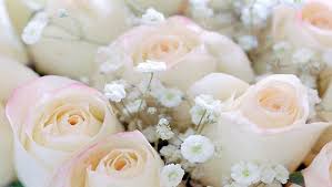 White roses are also associated with weddings, so perhaps, if he had known that, he's interested something more. Vanilla Roses Romantic Romance Little Flowers Roses Purity Innocent Hd Wallpaper Peakpx