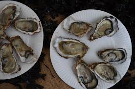 Les Producteurs A L Honneur Tifenn Et Jean Noel Yvon Ostreiculteurs Bretons Contre Vents Et Marees Slow Food Inter Jean Noel Ostreiculteur Les Producteurs