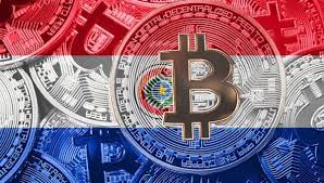 Paraguay Milletvekili Bitcoin Icin Buyuk Gunun Geldigini Duyurdu Kripto Teknik Haber