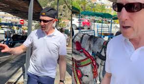 Michael Healy Rae Checks Out 'Green Party's Vision For Transport' In  Bizarre Video