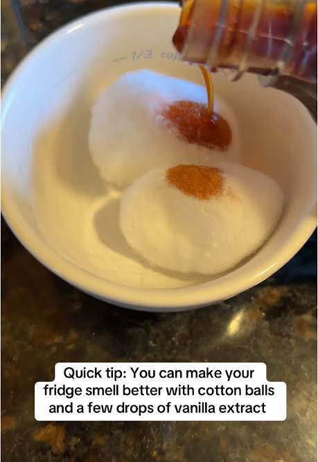 How to Make Your Fridge Smell Better with Vanilla