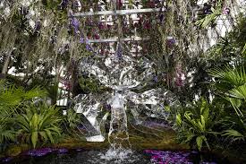 How much is the bronx botanical garden. Orchids Are Blooming In The Bronx S New York Botanical Garden