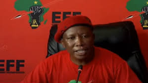 Anc's expelled youth leader, awaiting trial in spring for fraud and racketeering, swaps barricades for cabbages. Eff Calls For Reinstatement Of Social Grants Sabc News Breaking News Special Reports World Business Sport Coverage Of All South African Current Events Africa S News Leader