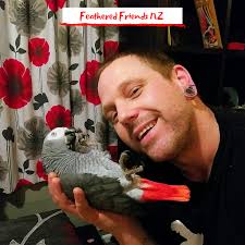 Can't hear anything else while it's running