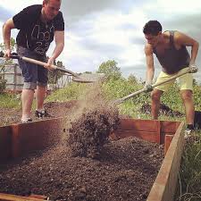 We did not find results for: The 6 Secrets To A Thriving Home Garden Sowegrow