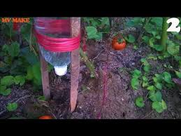 Indoor outdoor plastic bottle garden plant drip irrigation automatic device spike system. 5 Tricks Self Watering System For Your Plants With Bottle Simple Life Hack Garden Do It Yourself Youtube