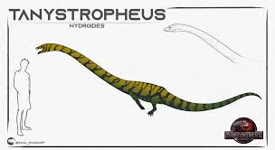 Image result for Tanystropheus