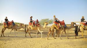 Camel rides are commonly on offer at the various fetes and agricultural shows that occur in western australia. Camel Tours Negev Camel Ranch