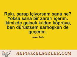 raki ertesi gun icin bir sey diyemem ama raki ictigin gun olmezsin cemal sureyya panosundaki pin