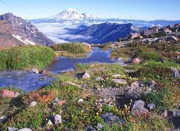 Pin By Hue New Painted Furniture On Pct Pacific Crest Trail Backpacking Trails West Coast Travel
