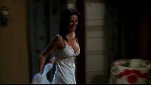 Season 7 dvd (2010) charlie sheen cert 15 quality guaranteed. Jennifer Bini Taylor Photos Facebook