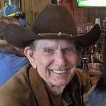 Ronald M Ramsey Obituary (2025)