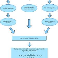 The Workflow Chart Of Lpi Bnpra Download Scientific Diagram