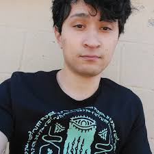 Shirt Zelda Tears of the Kingdom Seal