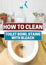Cleaning Toilet Bowl Stains With Bleach Toilet Bowl Stains Clean Toilet Bowl Stains Toilet Cleaning