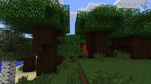 How To Grow Dark Oak In Minecraft - Playbite