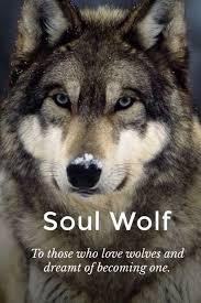 Wolves Wolf Spirit Animal Wolf Love Lone Wolf Quotes