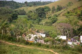The centers for disease control and prevention (cdc) has issued a. Why People Are Fleeing Honduras For The U S All That S Left Here Is Misery Npr