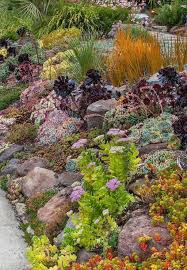 You can use the table below to help you choose the plants for your rock garden. 20 Best Small Rock Gardens Ideas That You Will Definitely Love In 2020 Sloped Garden Rock Garden Landscaping Landscaping With Rocks