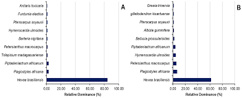Image result for Pachylobus osika
