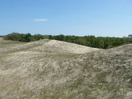 1,802 likes · 7 talking about this. Dune De Nisip 5 Padurea Letea Delta Dunarii 2008 08 26 Mapio Net