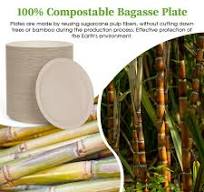 Amazon.com: ECOLipak 6 Inch Disposable Compostable Small ...