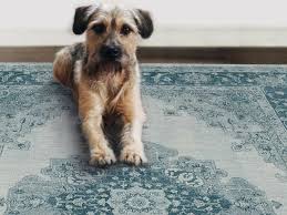 4 out of 5 stars with 4 ratings. The Best Machine Washable Rugs For Every Style Under 500 Hgtv