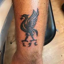 We did not find results for: Liverbird In Tattoos Search In 1 3m Tattoos Now Tattoodo