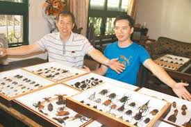 Beetle collection boosts insect interest in Jiji