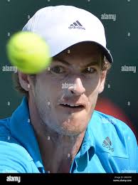 Andy murray serving hi-res stock photography and images