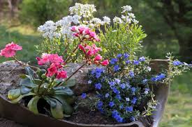Tolle ideen im internet, wie sie einen japanischen garten anlegen können. Steingarten Anlegen Anleitung Fur Mini Steingarten Diybook Ch