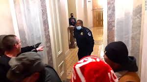 A video, captured by huffpost reporter igor bobic, appears to show the officer strategically diverting the mob away from a corridor leading to the senate christopher j. Eugene Goodman Pence Has Tried To Reach Capitol Police Officer Who Led Rioters Away From Senate Chambers To Offer Thanks Cnnpolitics