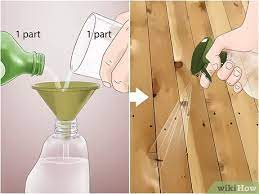 Earwigs can also wreak havoc outside of the garden because they're attracted to moist areas around and inside homes. How To Get Rid Of Earwigs 12 Steps With Pictures Wikihow