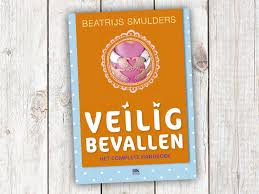 36x Zwangerschapsboeken Voor Jou En De Papa Babystraatje