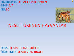 Nesli Tukenen Hayvanlar Ppt Video Online Indir