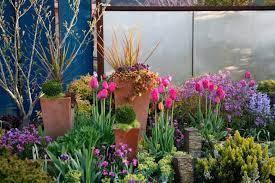 Spring Garden Diva Designs Spring Garden Garden Diva Design