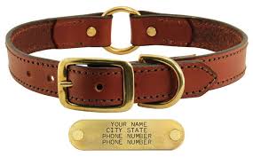 leather dog collar with name plate 19 99 save 5 00